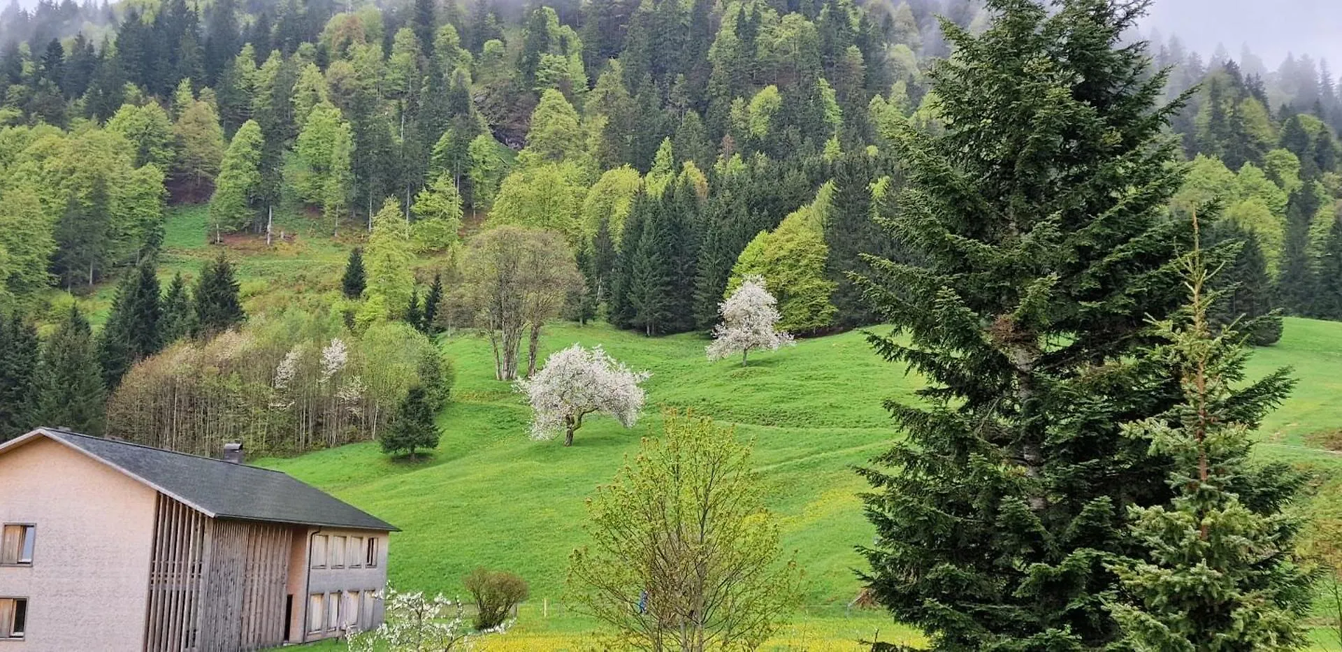 Haus Luise Hotel Bad Hindelang