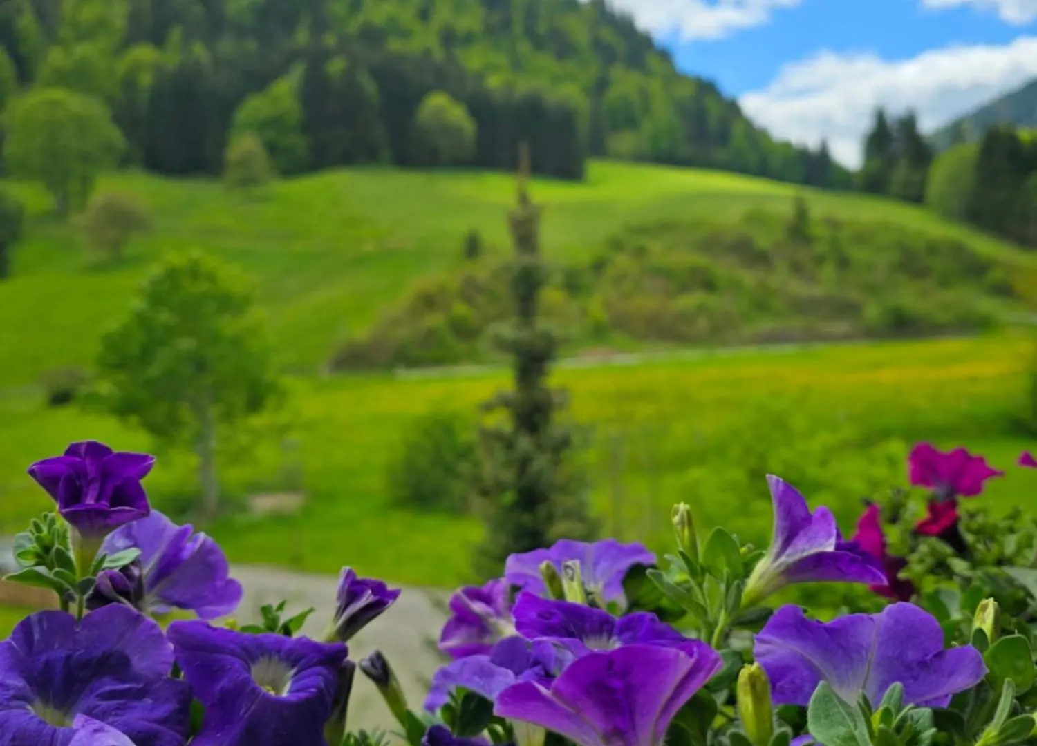 Haus Luise Hotel Bad Hindelang
